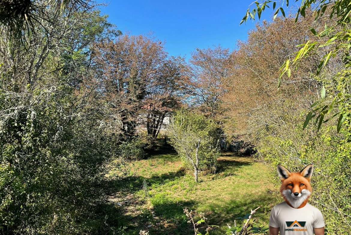 1751894485_VM1364_7_original