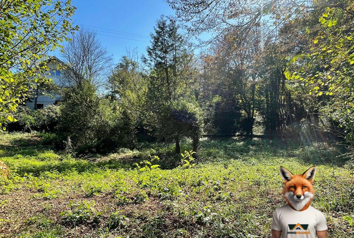 1751894485_VM1364_9_original