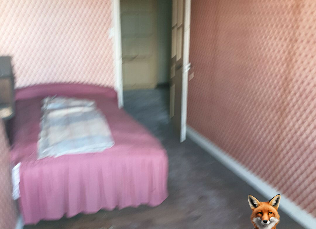 1751894525_VM1454_4_original