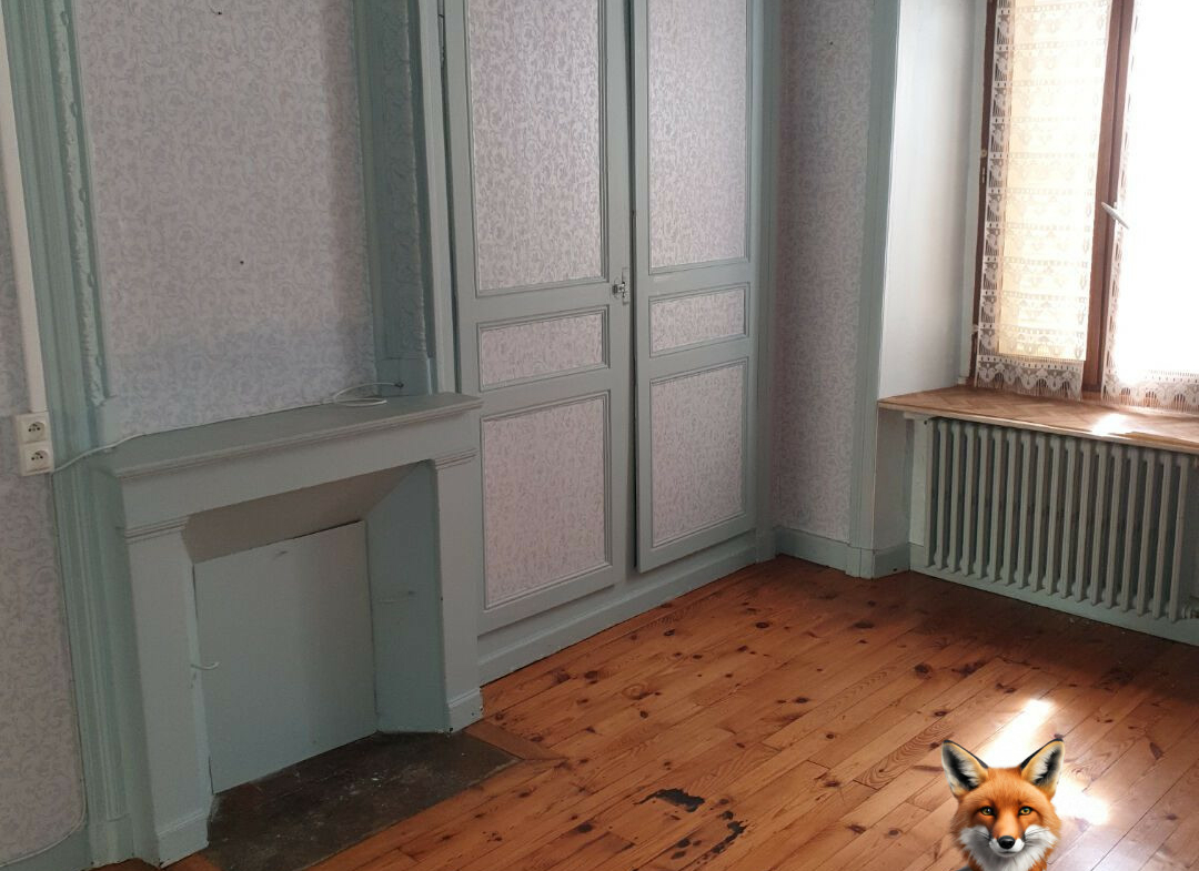 1751894646_VM1650_4_original