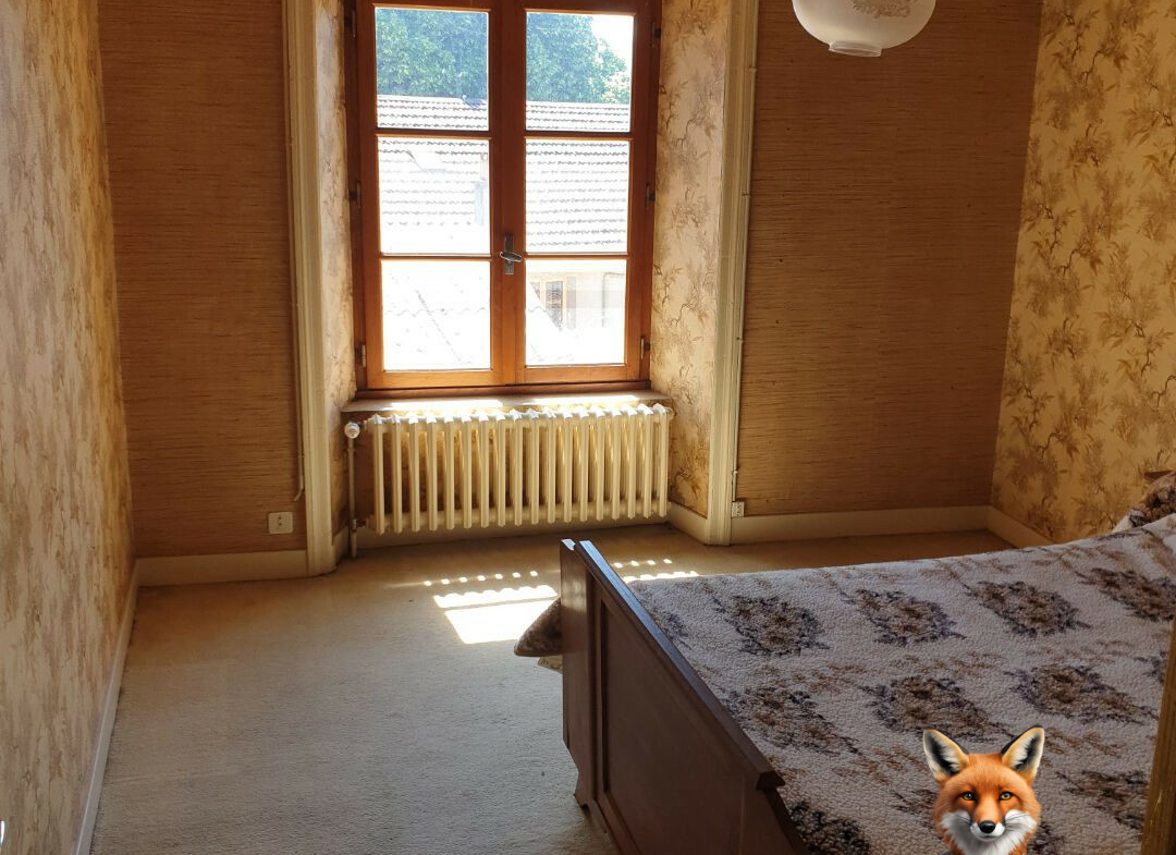 1751894646_VM1650_6_original