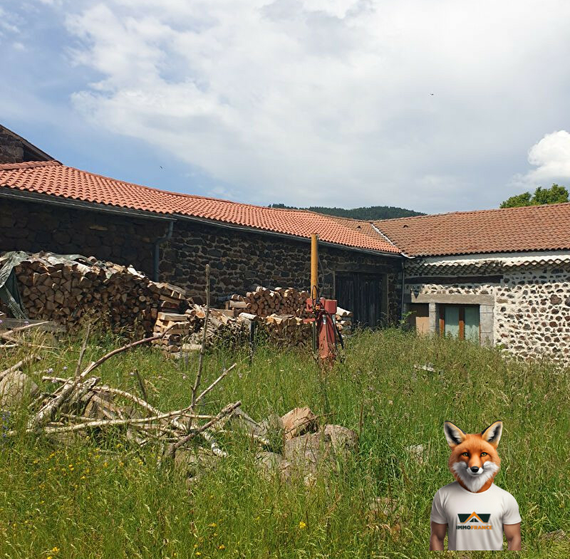 1751894662_VM1686_9_original