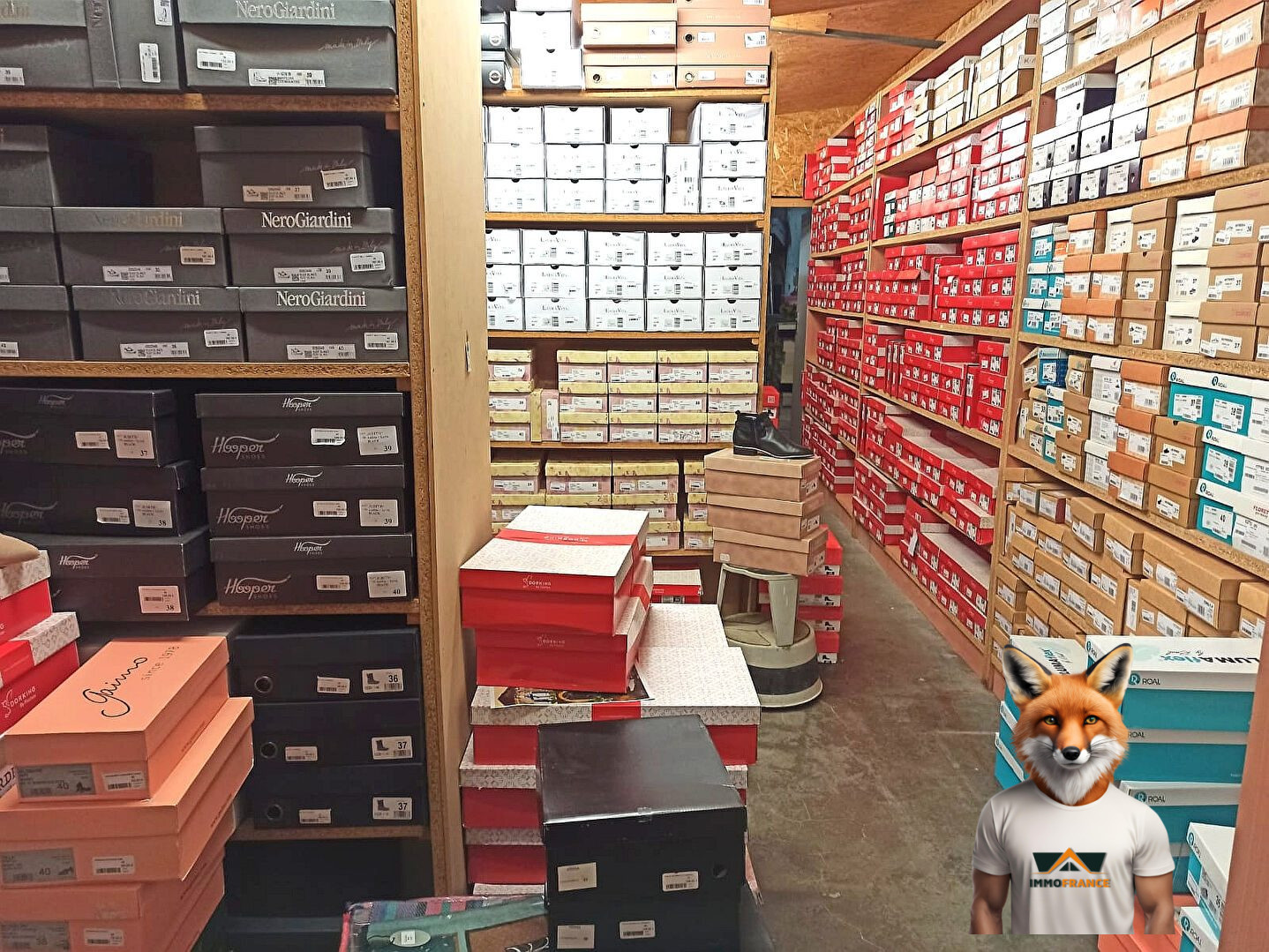 1751894724_VF086_7_original