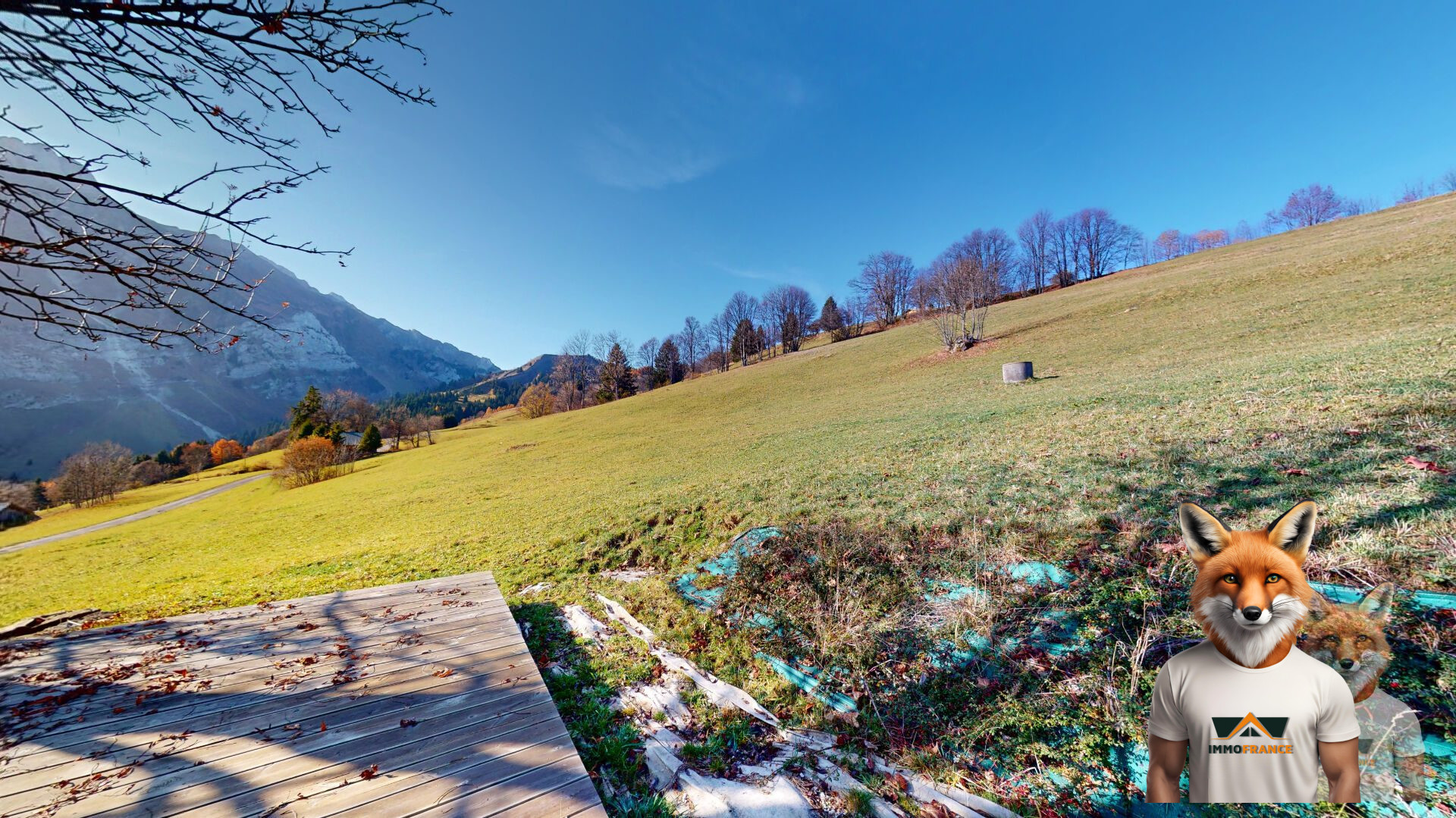 1751894791_VM1850_8_original