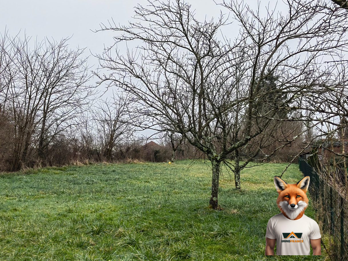 1751894820_VT260_2_original