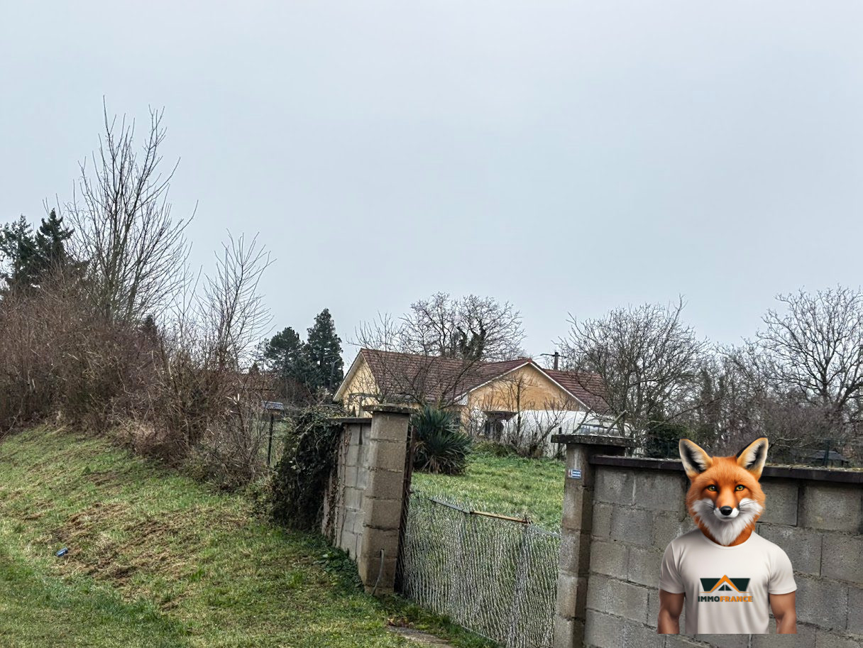 1751894820_VT260_3_original