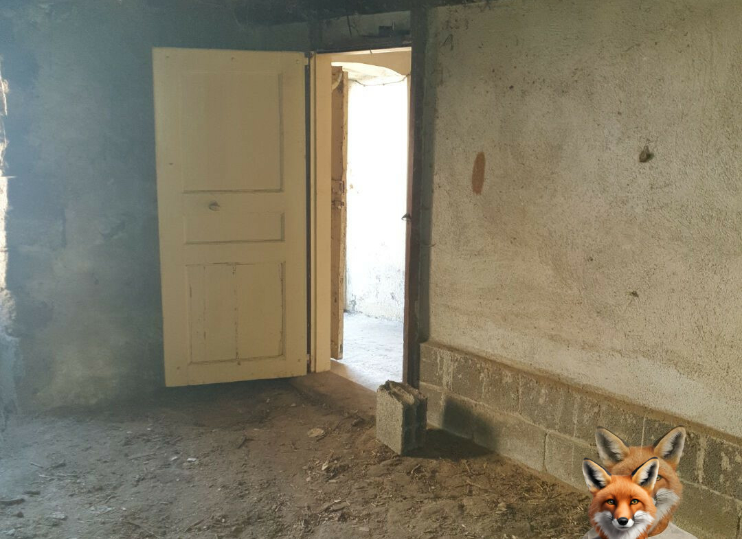 1751894884_VM2058_11_original