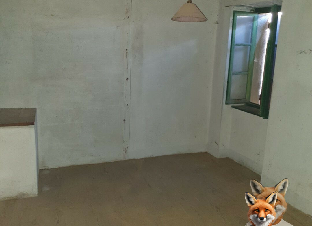 1751894884_VM2058_3_original