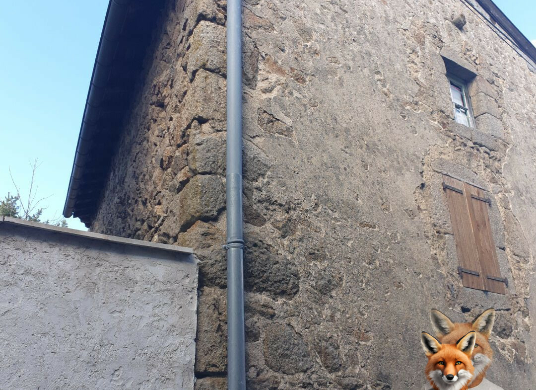 1751894884_VM2058_7_original