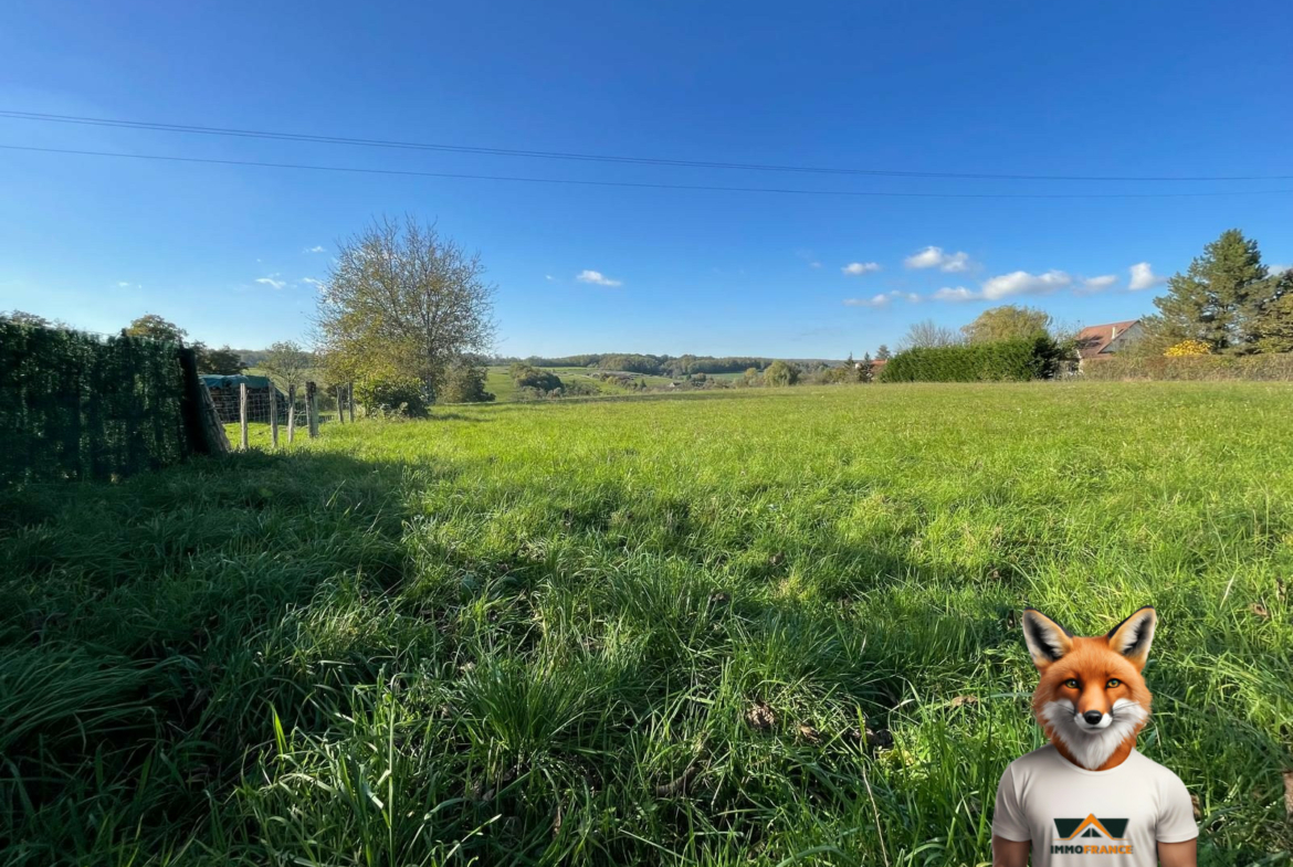 1761914262_VT291_3_original