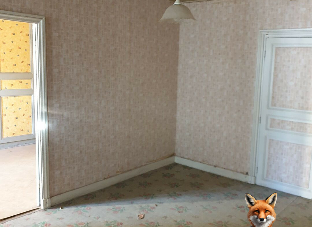 1751894525_VM1454_2_original