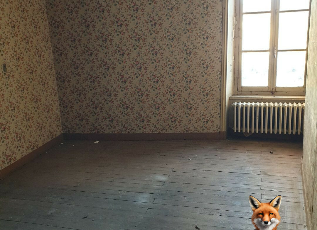 1751894525_VM1454_7_original