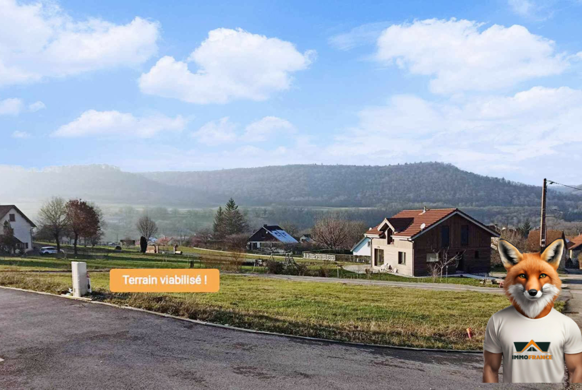 1751894556_VT196_2_original