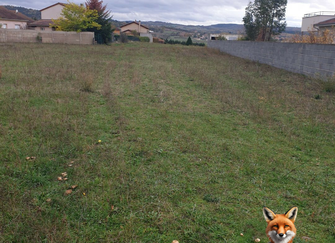 1751894557_VT200_1_original