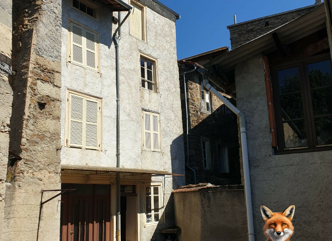 1751894646_VM1650_7_original