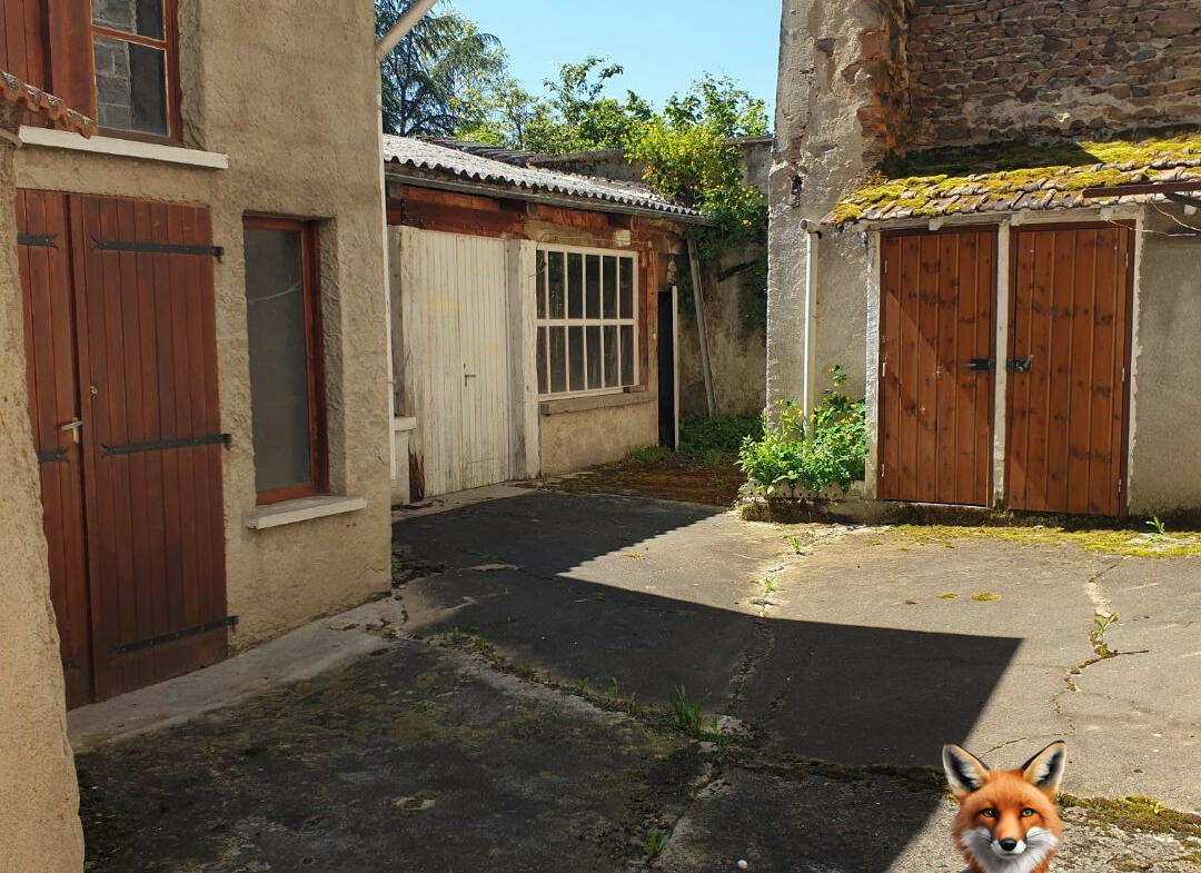 1751894647_VM1650_8_original