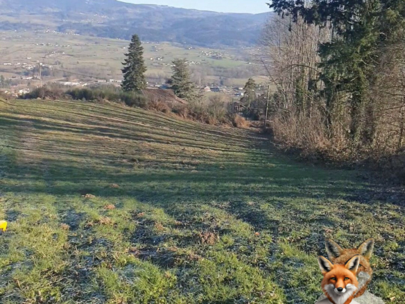 Terrain Saint Ferreol Des Cotes 3248 m2