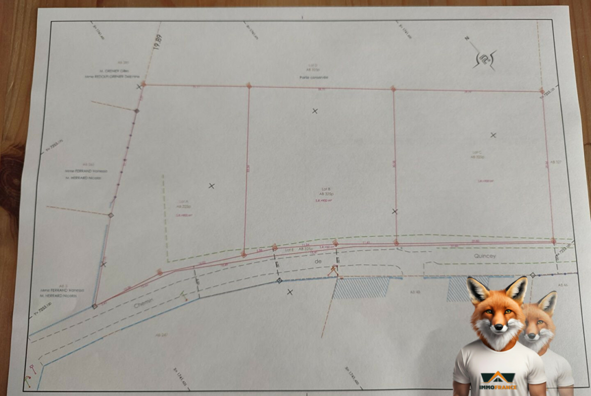 1751894815_VT254_1_original