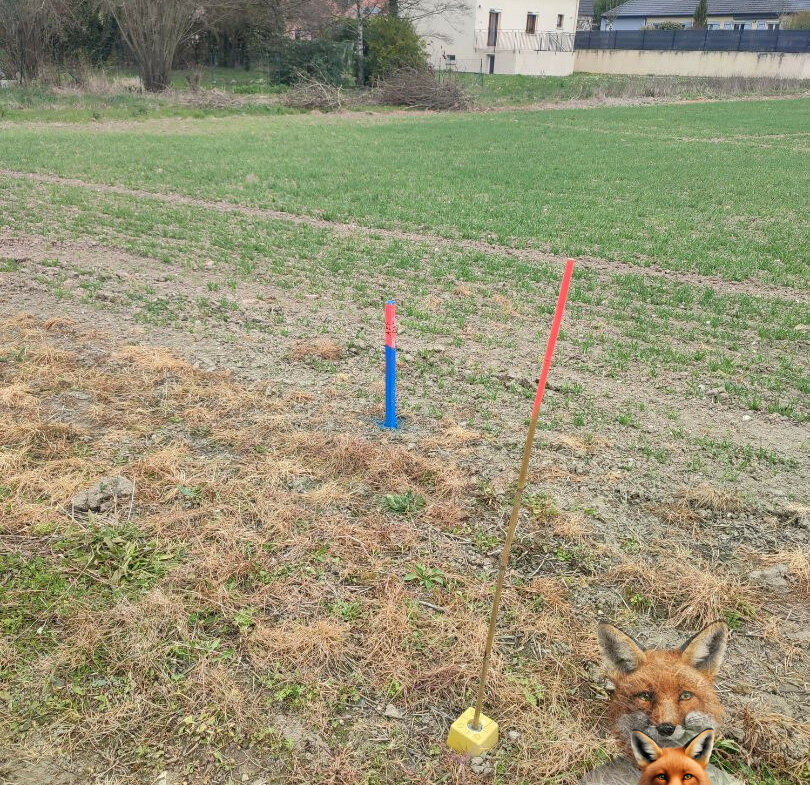 1751894816_VT254_2_original