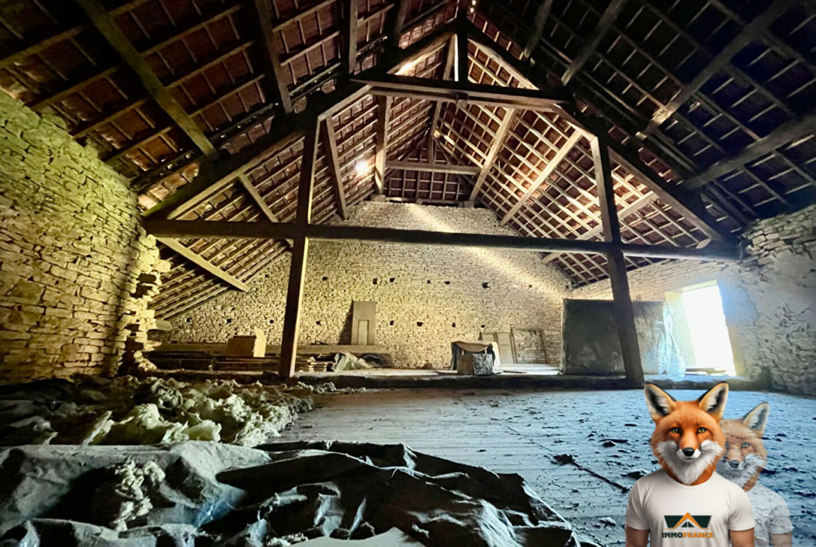 1751894858_VM2064_6_original