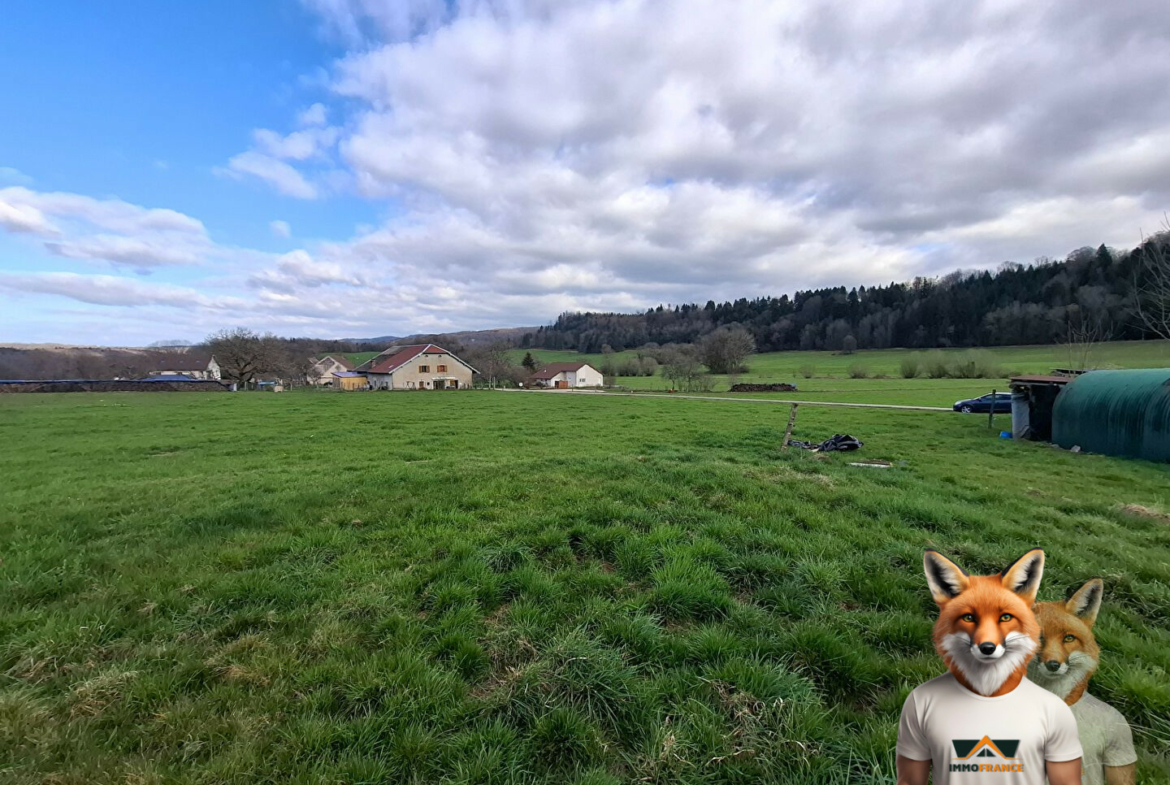 1751894861_VT268_2_original