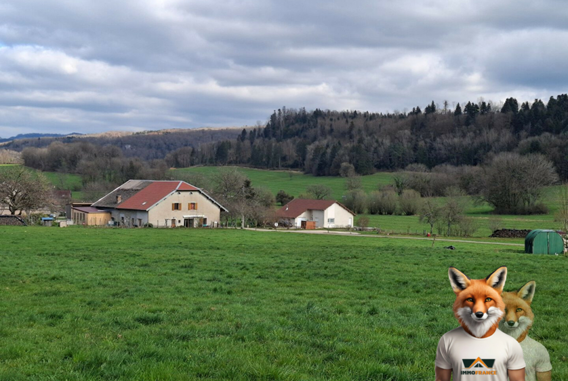 1751894861_VT268_3_original