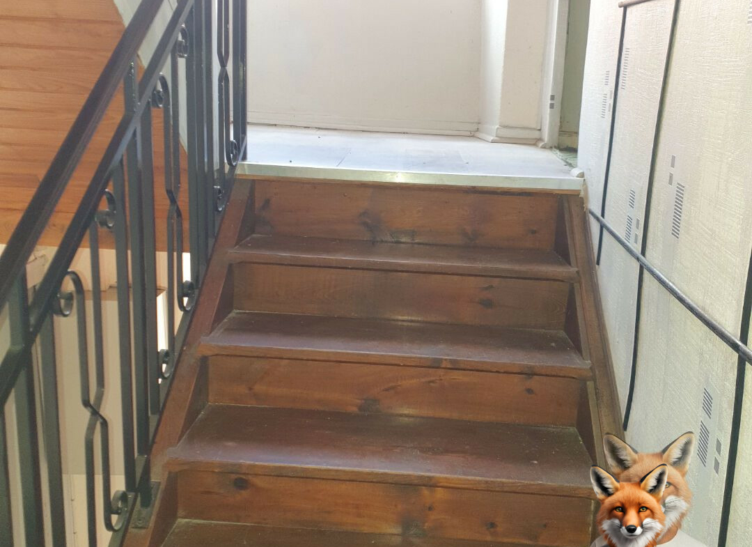 1751894881_VM2114_4_original