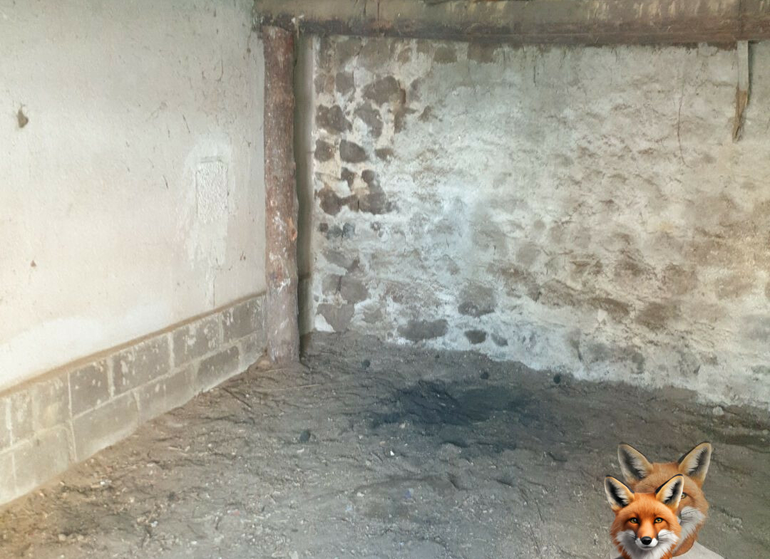 1751894884_VM2058_10_original