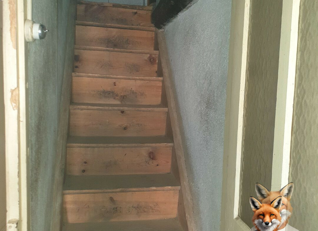 1751894884_VM2058_12_original