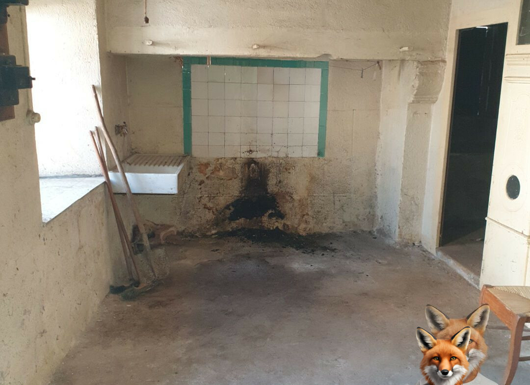 1751894884_VM2058_1_original