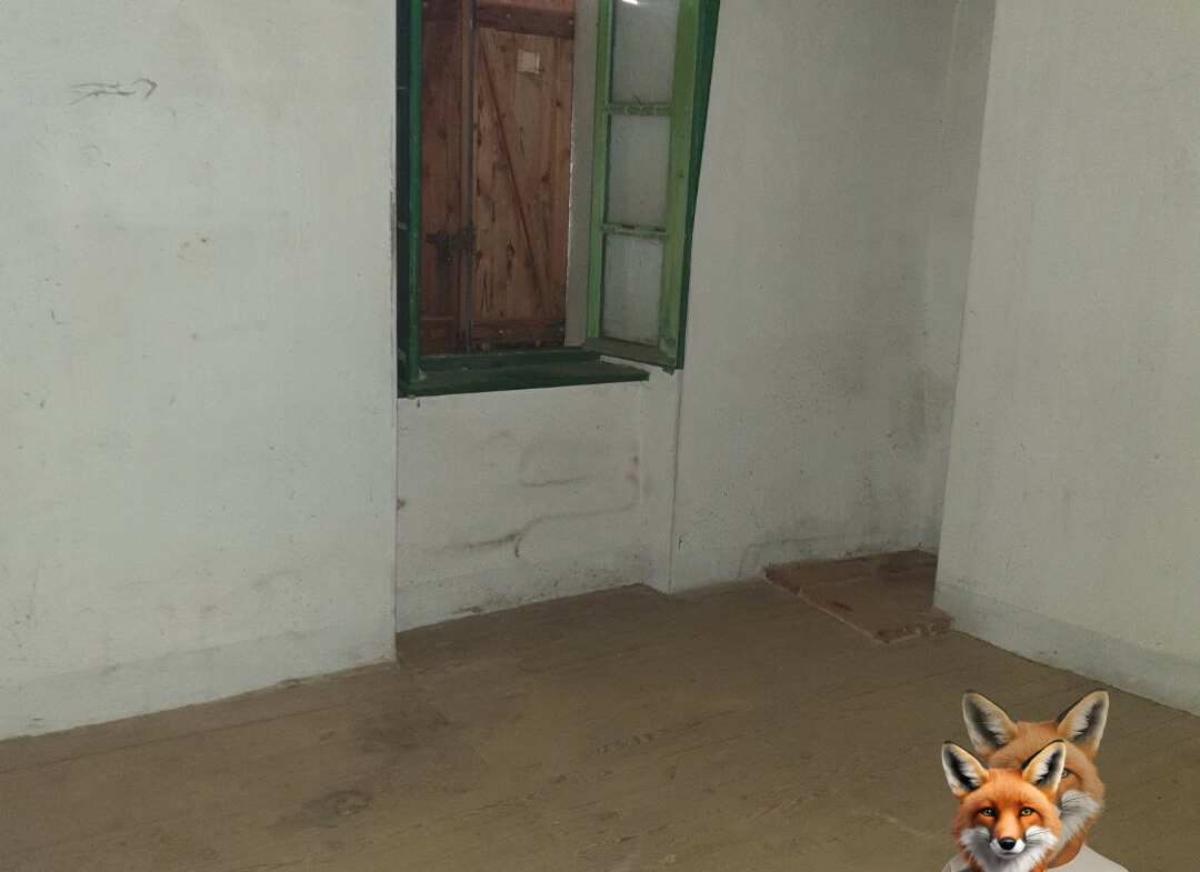 1751894884_VM2058_2_original