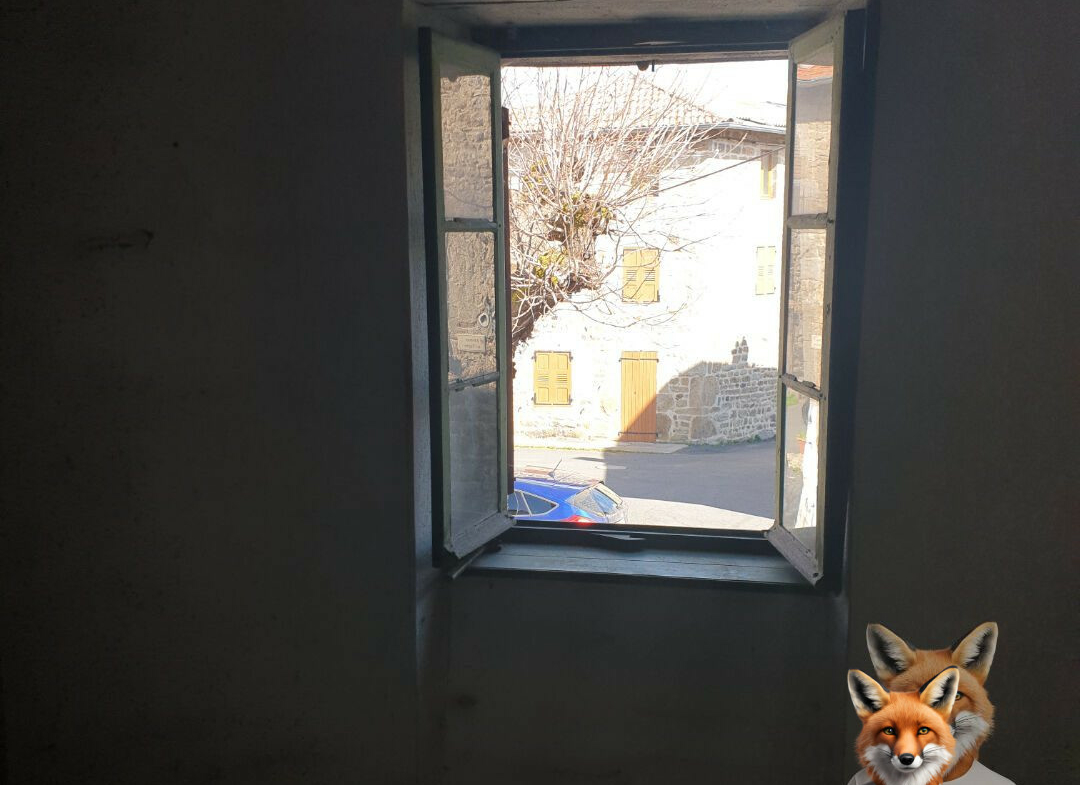 1751894884_VM2058_4_original