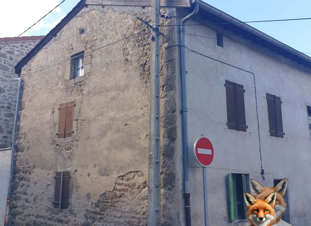 1751894884_VM2058_6_original