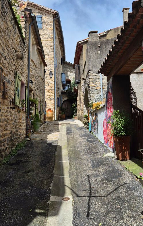 1751894889_VM2146_3_original