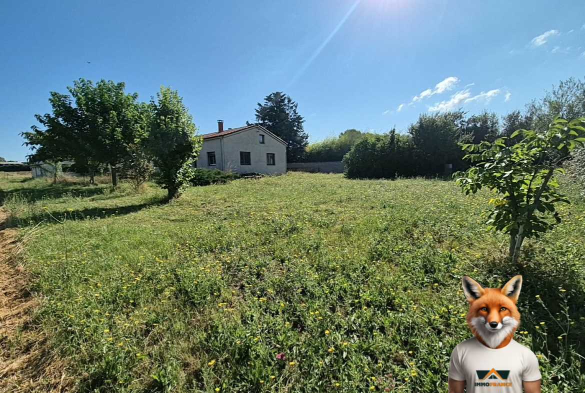 1753086777_VM1938_19_original