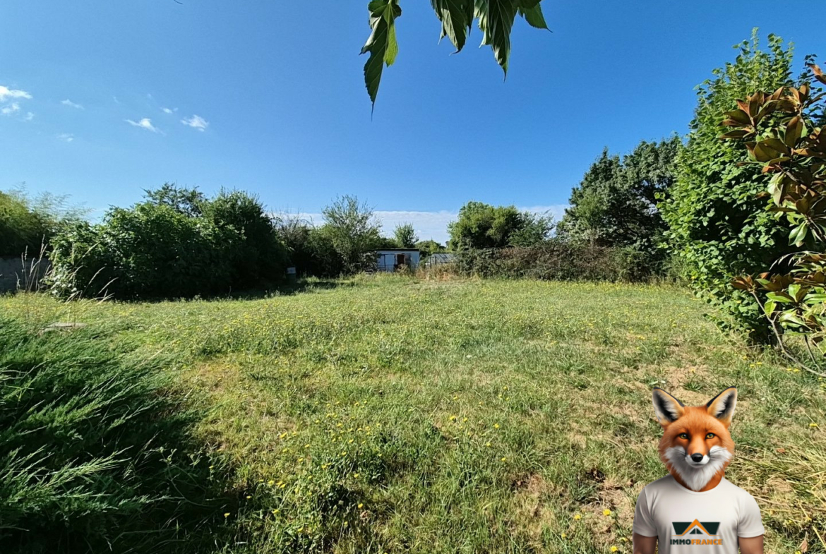 1753086778_VM1938_20_original