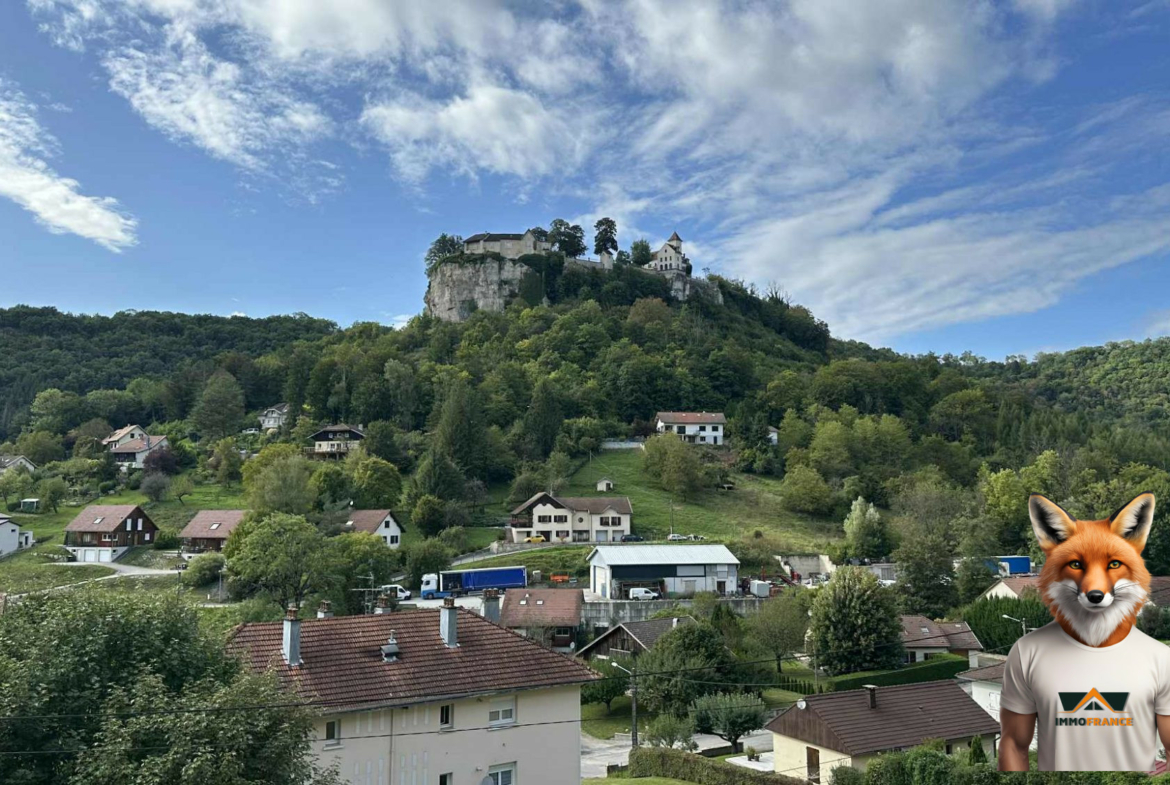 1757679936_VA3748_1_original