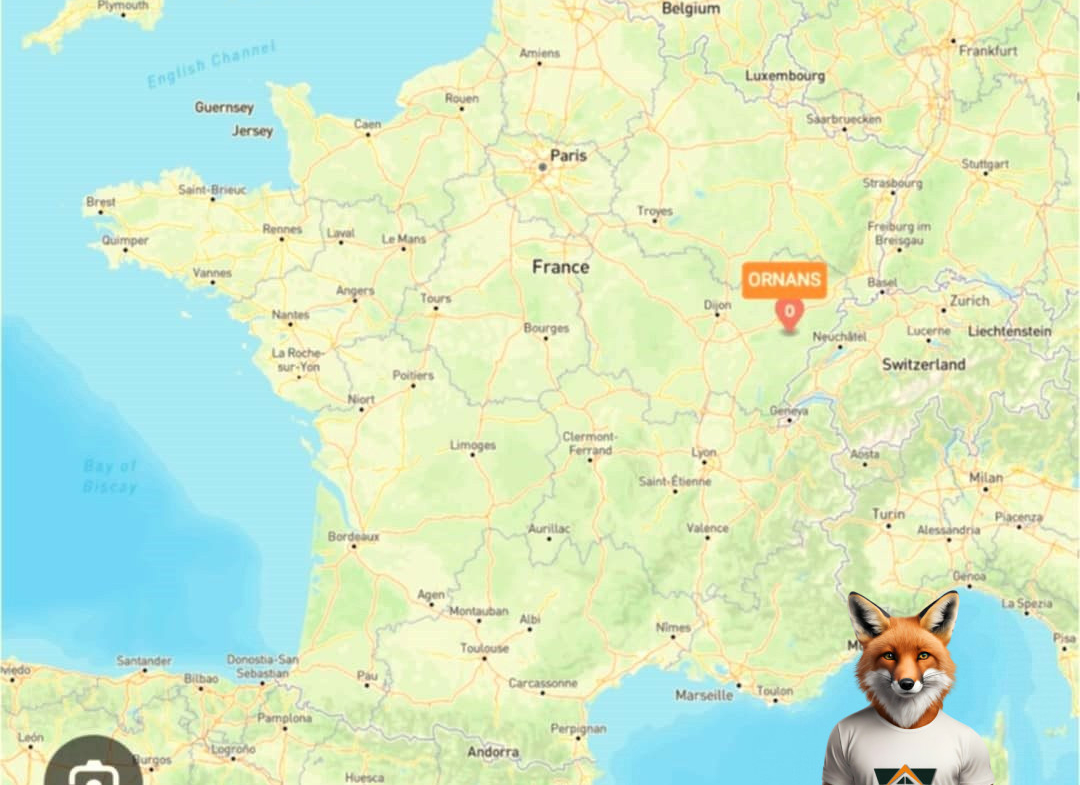 1758103027_VA3761_3_original