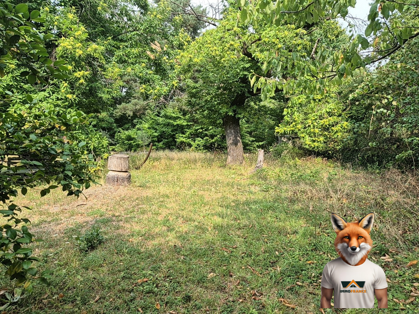 1758810839_VM2324_30_original