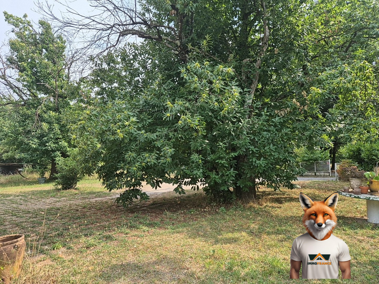 1758810841_VM2324_32_original