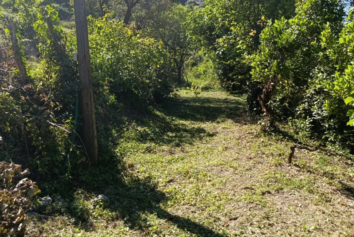 1758906025_VM2339_33_original