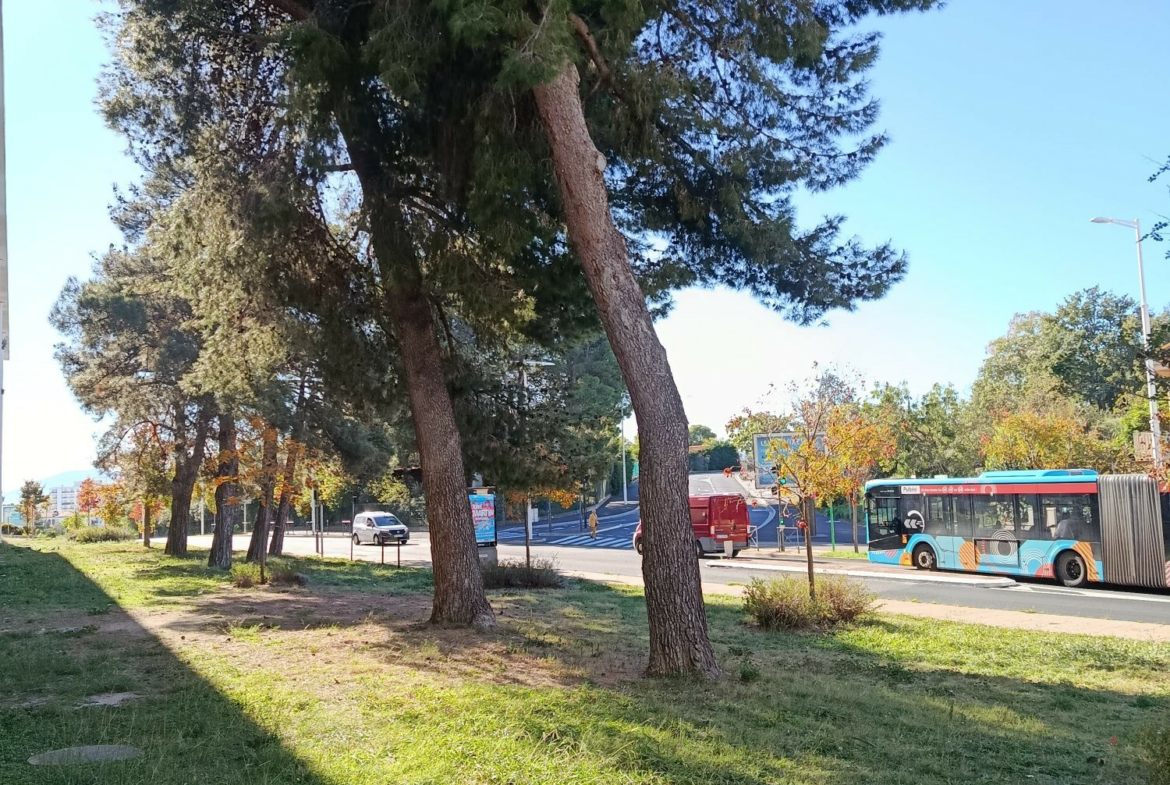 1762510453_VA3786_1_original