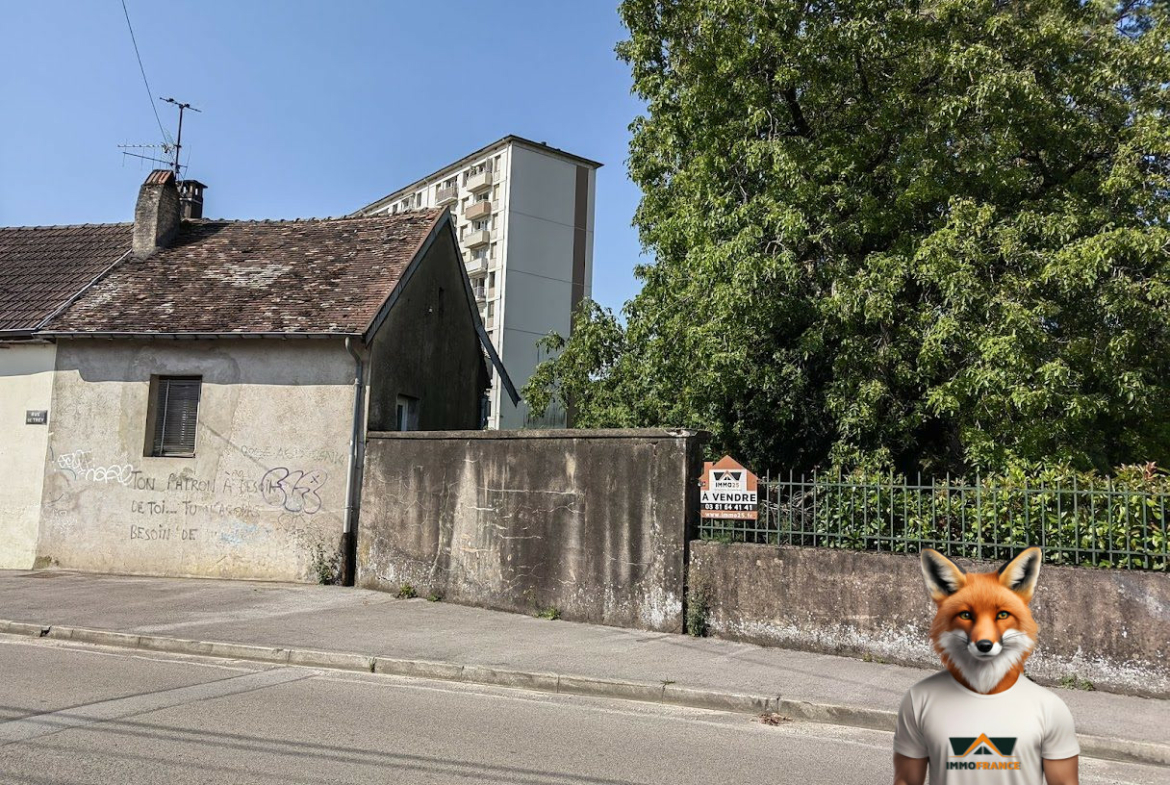 1762771477_VT293_1_original