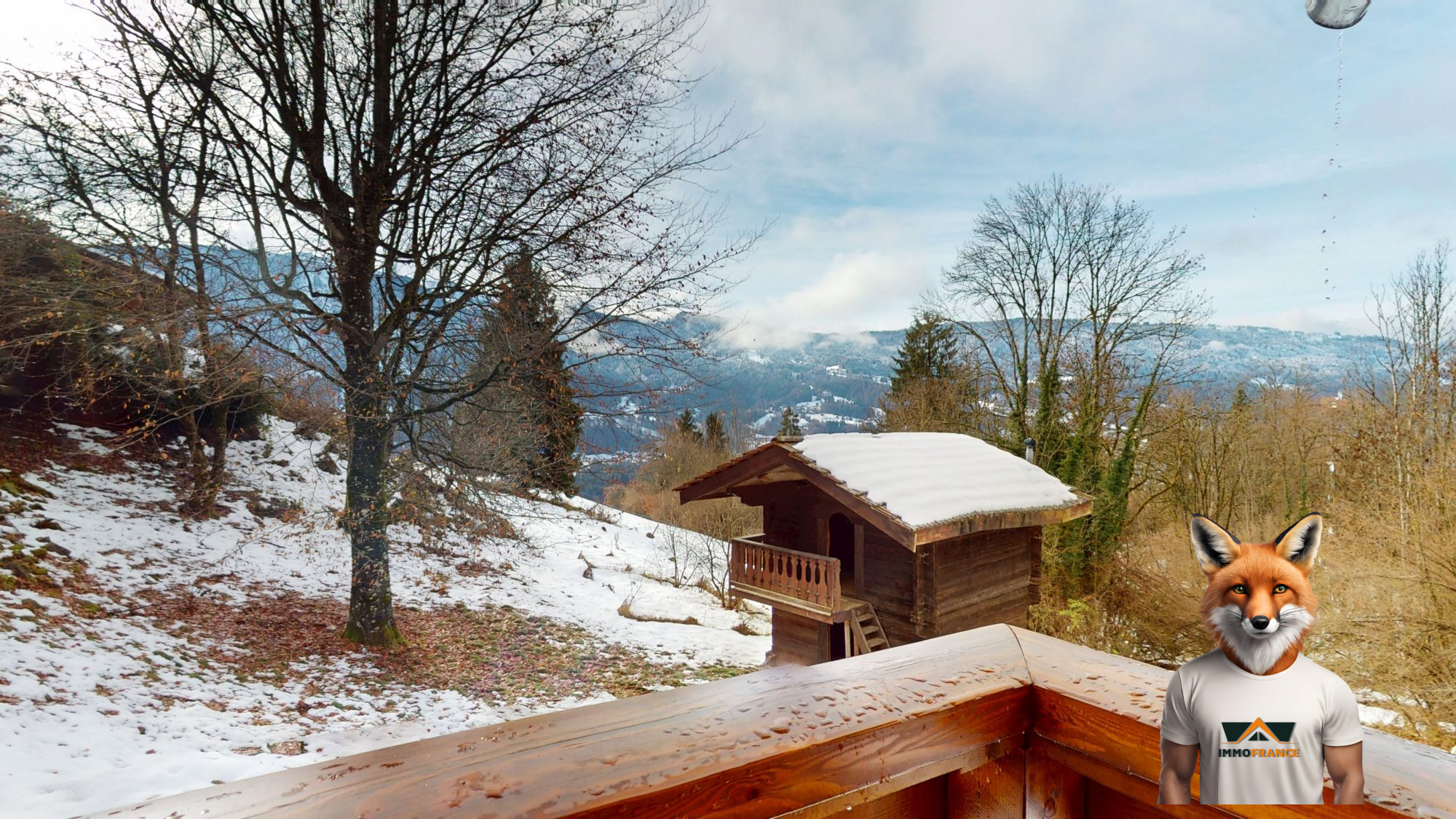 1764601097_VM2419_1_original