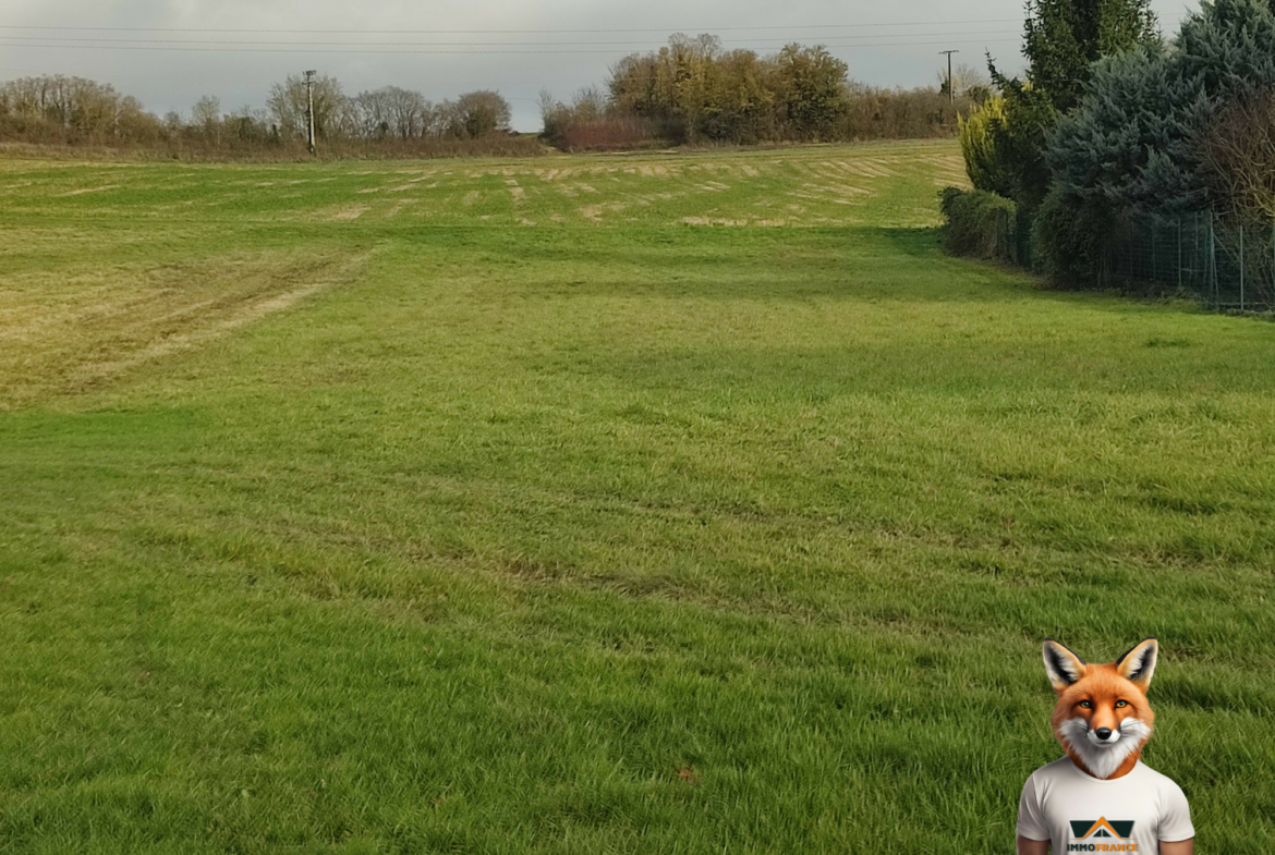 1764769575_VT295_1_original