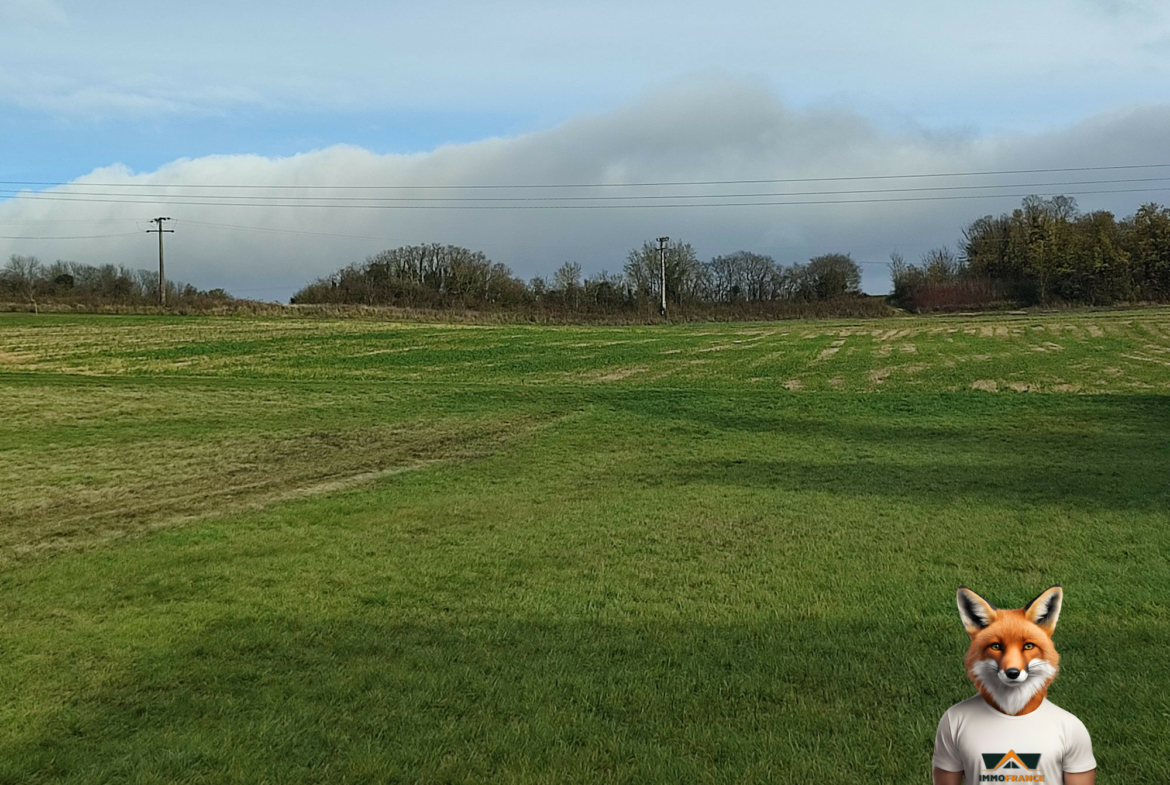 1764769585_VT295_2_original