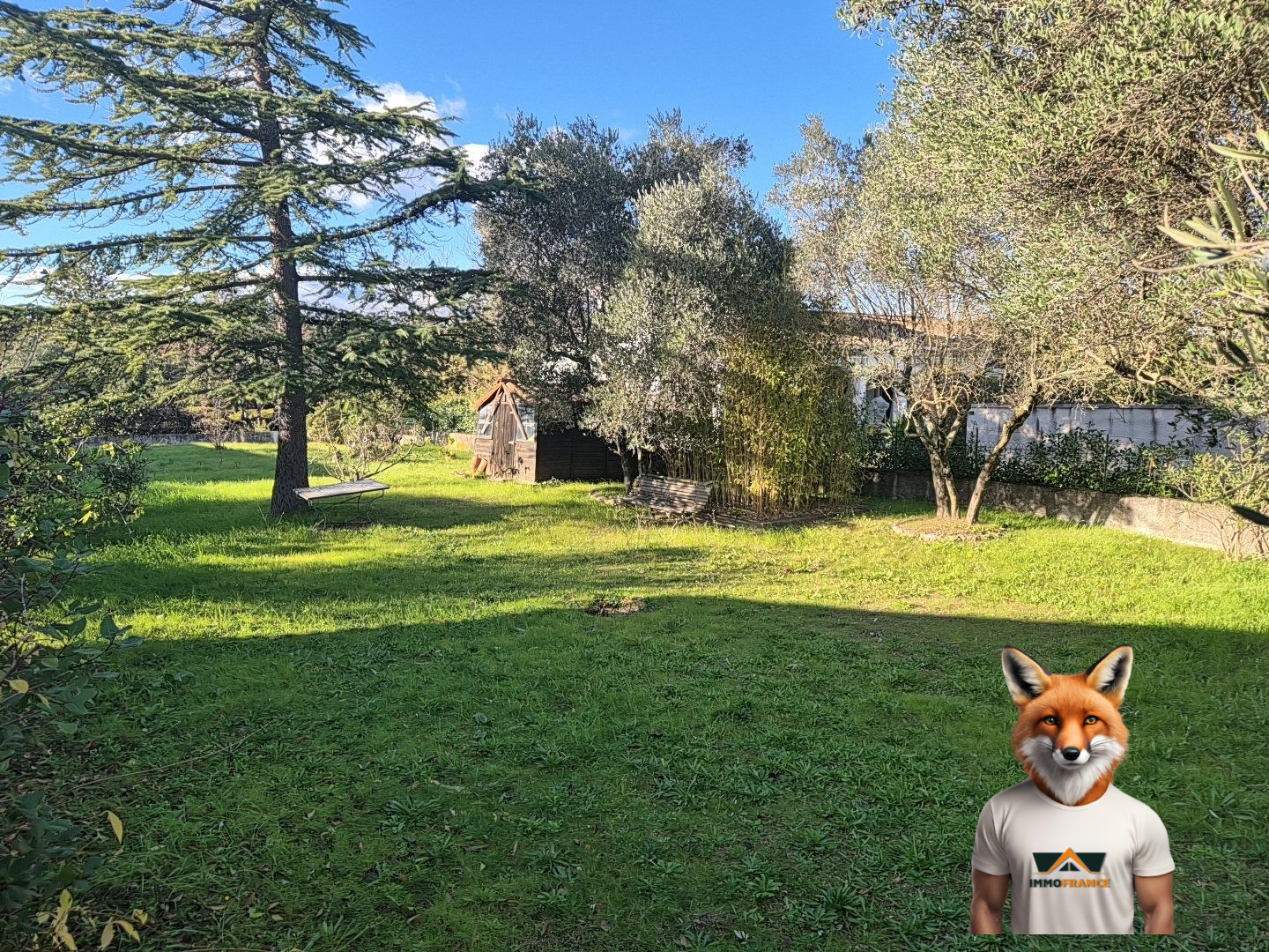 1765551984_VM2437_21_original