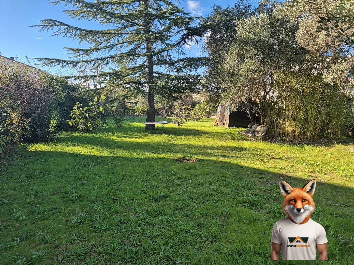 1765551985_VM2437_22_original