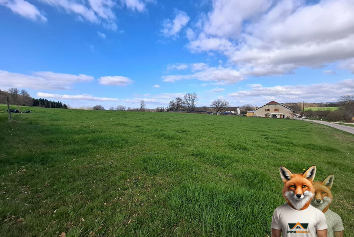 1751894861_VT268_1_original