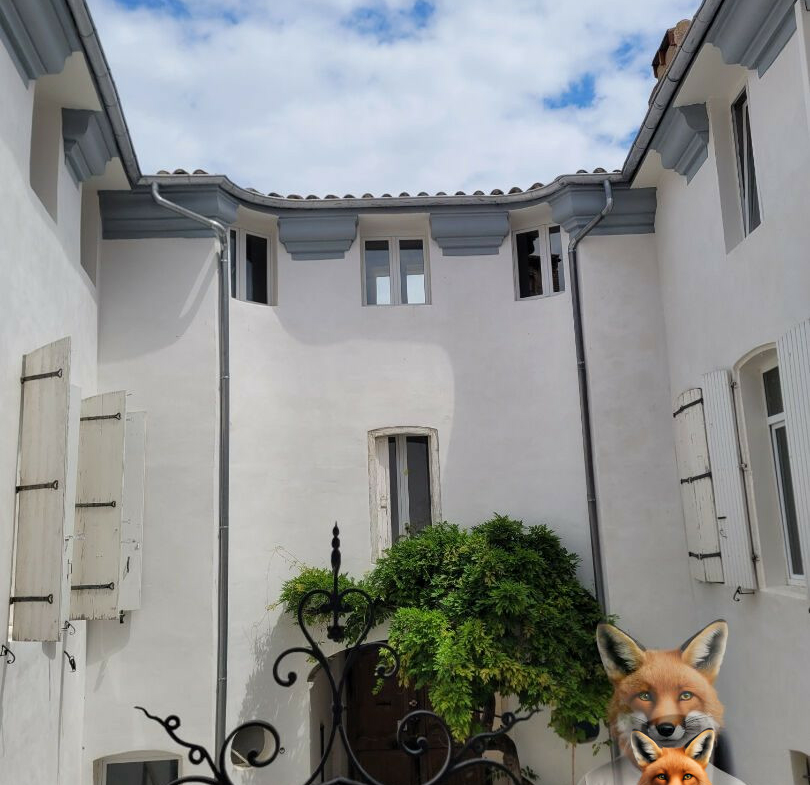 1751894893_VM2158_5_original